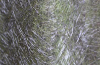 Church Town fibreglass roof work